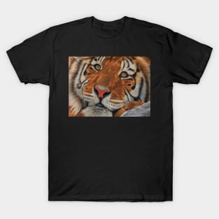 lovely tiger T-Shirt